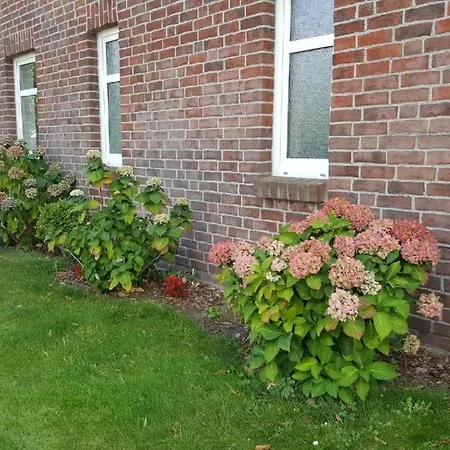 Apartment Ferienwohnung Rösler *